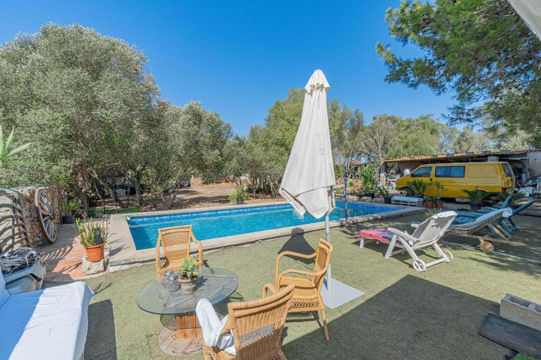 Piscina privada con olivos